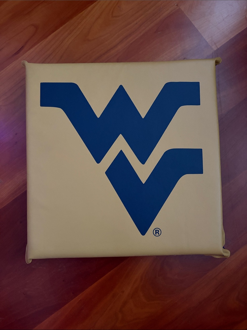 West Virginia Mountaineers Gold and Blue Seat Cushion